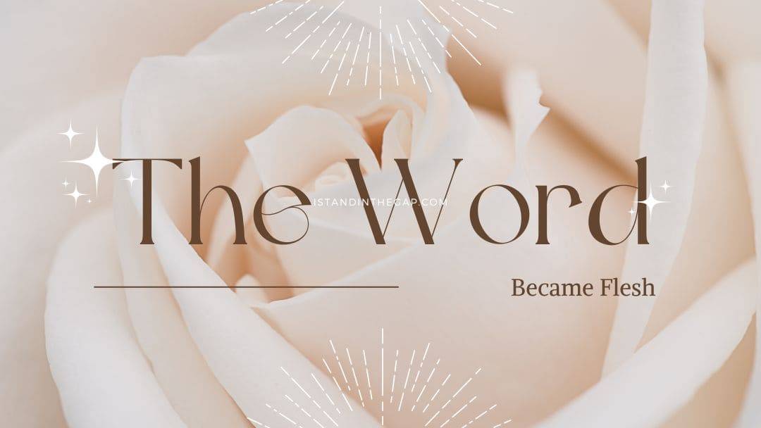 The Word Became Flesh | Daily Devotional