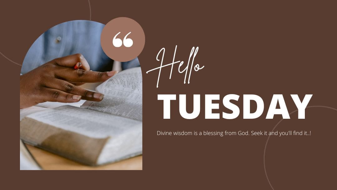 Wisdom and Discernment | Daily Devotional