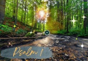 PSALM 1 EXPLAINED VERSE BY VERSE intelligence overview