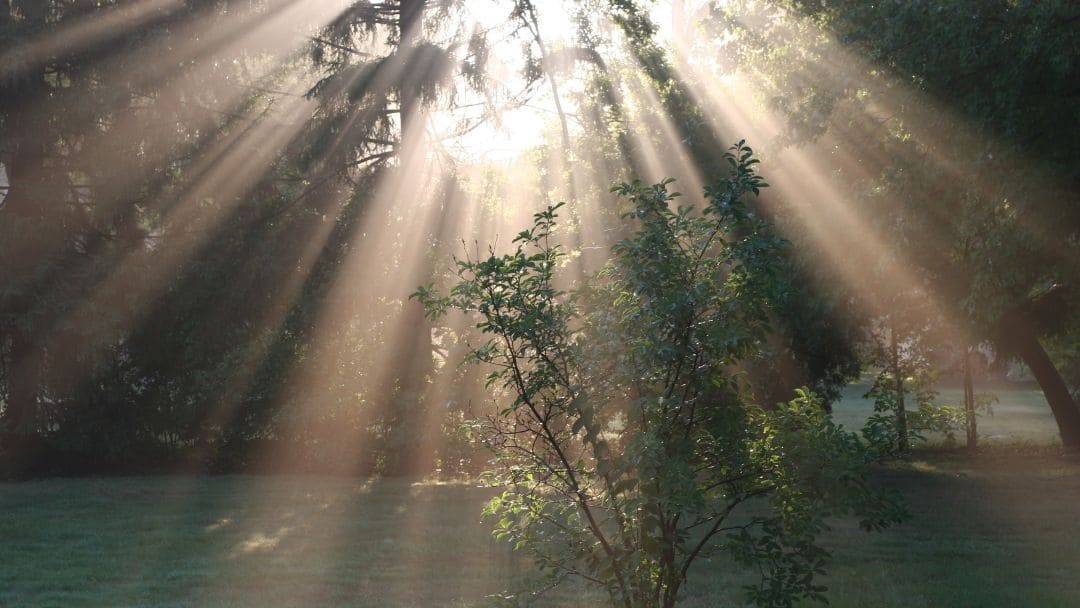Walking in God’s Presence: A Daily Devotional