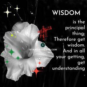 The Reward of Wisdom (Proverbs 3:13-14)