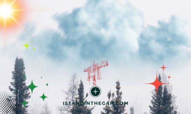 His Timing Is Perfect: A Daily Devotional (Romans 12:2)