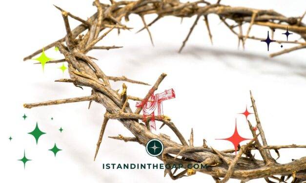 Jesus Predicts His Death: A Daily Devotional (John 12:27)