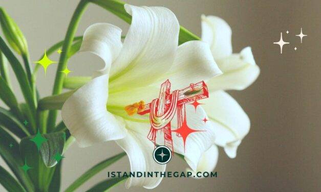 Forgiving Like Christ: A Daily Devotional (Ephesians 4:32)