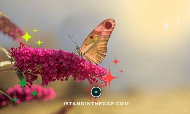 Joyful Endurance: A Daily Devotional (James 1:12)