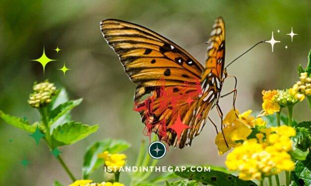 Wonderfully Made: A Daily Devotional (Psalm 139:13-14)