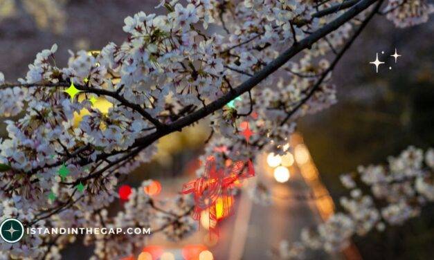 God Remember Me: A Daily Devotional (Genesis 8:1)