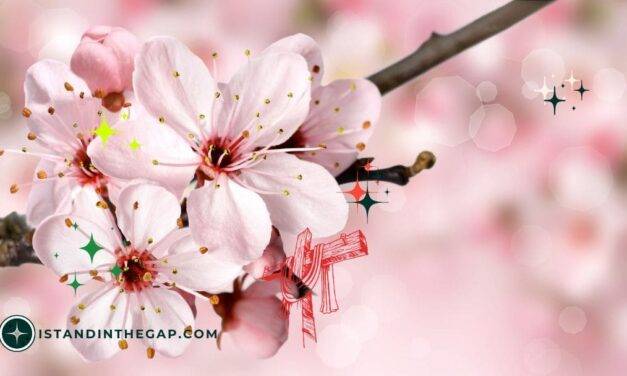 Jesus Is Mine: A Daily Devotional (Galatians 2:20)