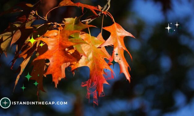 Love Never Fails: A Daily Devotional (1 Corinthians 13:8)