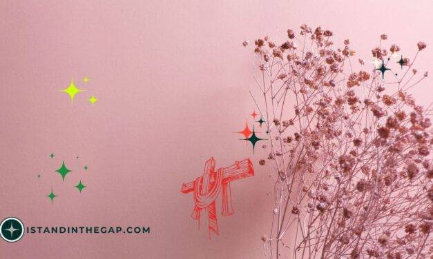 Who Touched Me? A Daily Devotional (Luke 8:45)