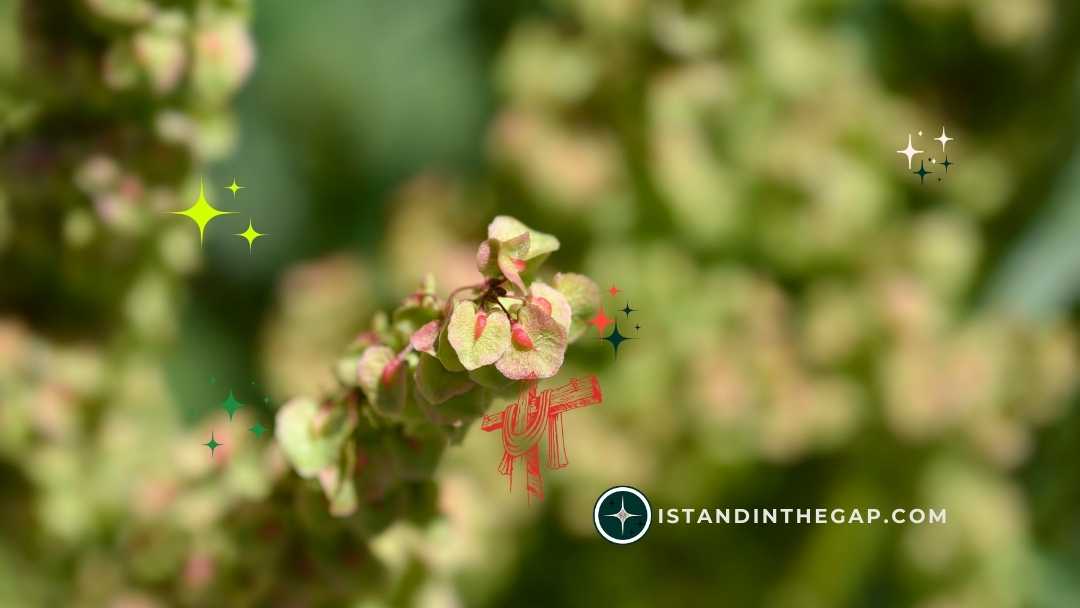 Patience in Waiting: A Daily Devotional (Psalm 27:14)