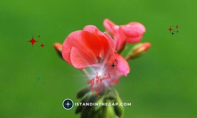 A Better Ending: A Daily Devotional (Ecclesiastes 7:8)