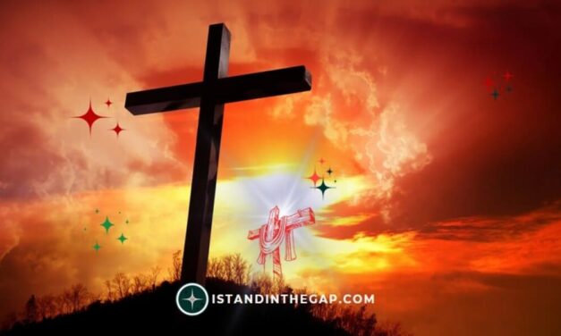 I Am The Son of God: A Daily Devotional (John 10:36)