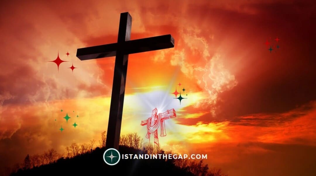I Am The Son of God: A Daily Devotional (John 10:36)