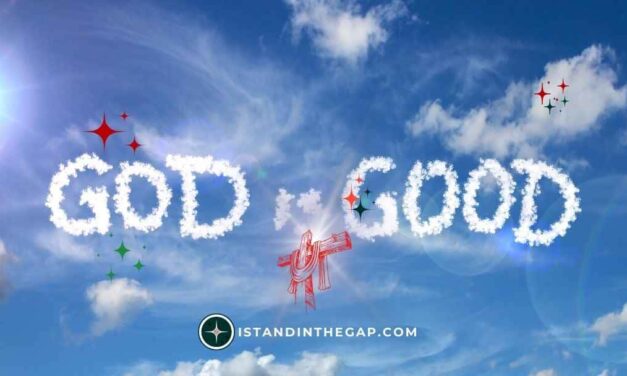 The Goodness of the Lord: A Daily Devotional (Psalm 27:13)