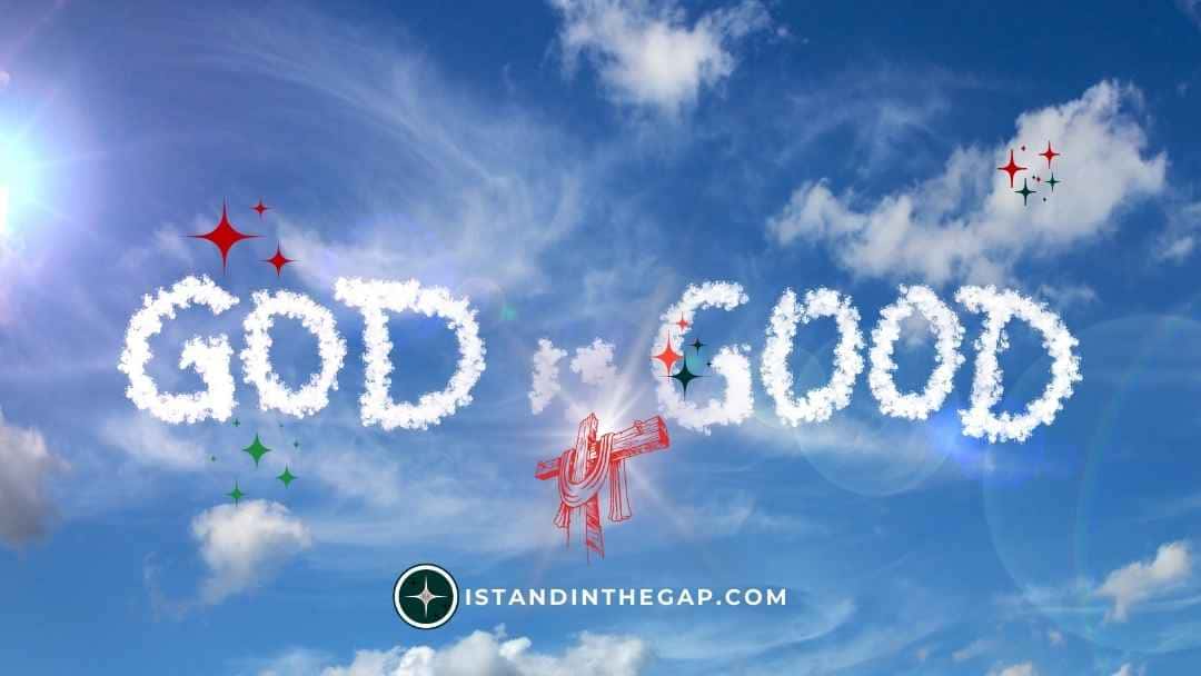 The Goodness of the Lord: A Daily Devotional (Psalm 27:13)