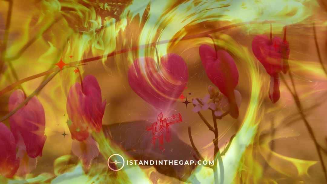 Guard Your Heart: A Daily Devotional (Proverbs 4:23)
