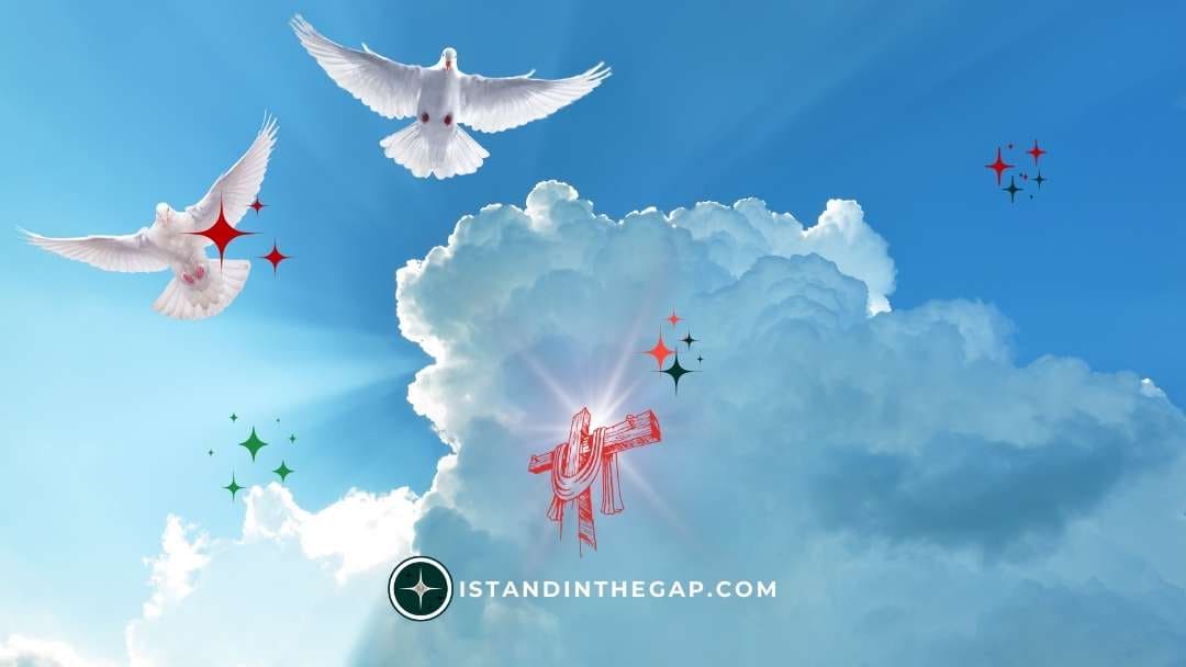 Led by the Spirit: A Daily Devotional (Romans 8:14)