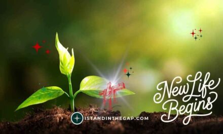 The Promise of New Life: A Daily Devotional (2 Corinthians 5:17)