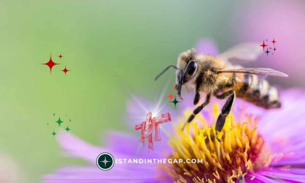 Not by Effort: A Daily Devotional (Romans 9:16)