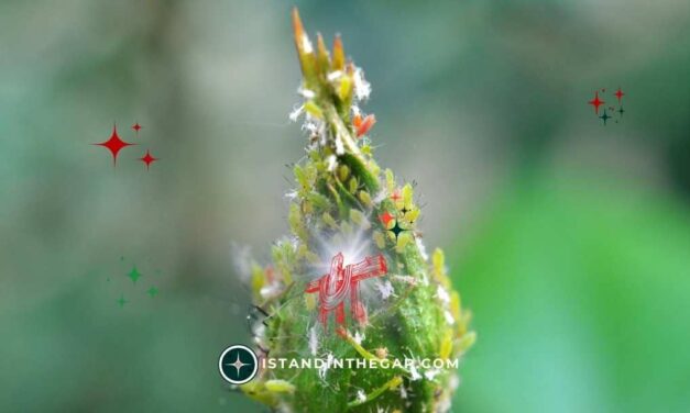 When Enemies Press: A Daily Devotional (Psalm 56:2)