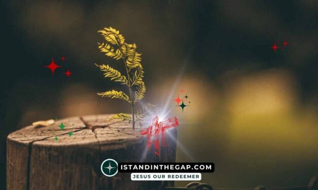 Covenant Renewal: A Daily Devotional (Nehemiah 10:29)
