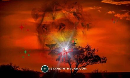 God Is Your Shield: A Daily Devotional (Psalm 59:13)