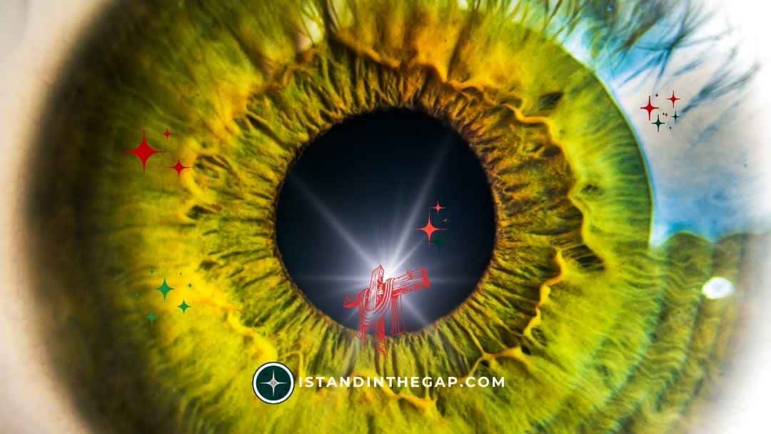 God Sees Everything: A Daily Devotional (Psalm 56:8)