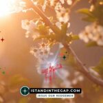 Joy in Faithfulness: A Daily Devotional (Luke 12:42)