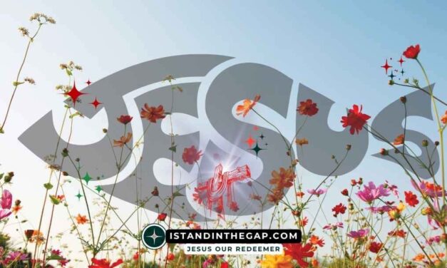 More Than Enough: A Daily Devotional (2 Corinthians 12:9)