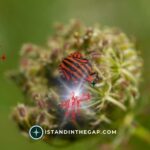 My Defense Is God: A Daily Devotional (Psalm 59:16)