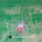 Obey Without Delay: A Daily Devotional (Genesis 6:22)