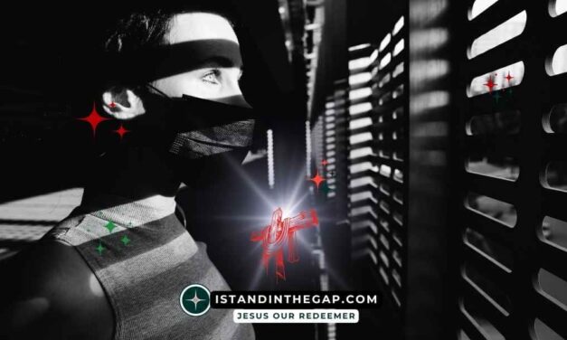 When I Am Afraid: A Daily Devotional (Psalm 56:3)