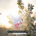 A Gentle Spirit: A Daily Devotional (Proverbs 15:4 NKJV)