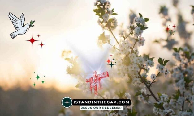 A Gentle Spirit: A Daily Devotional (Proverbs 15:4 NKJV)