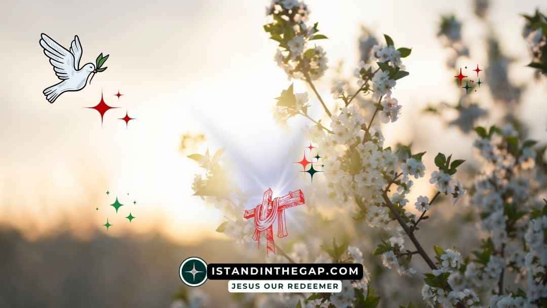 A Gentle Spirit: A Daily Devotional (Proverbs 15:4 NKJV)