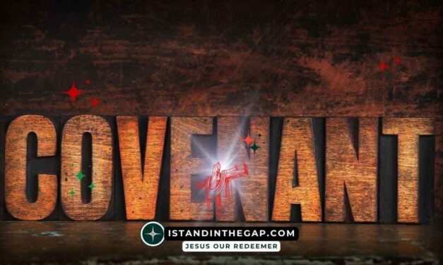 Follow the Ark: A Daily Devotional (Joshua 3:3)