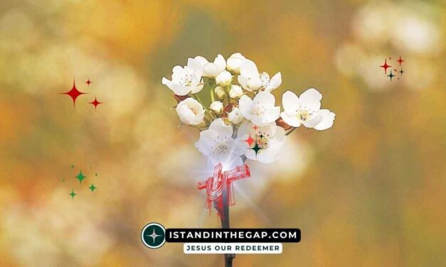 A Kind Man Named Boaz: A Daily Devotional (Ruth 2:4)