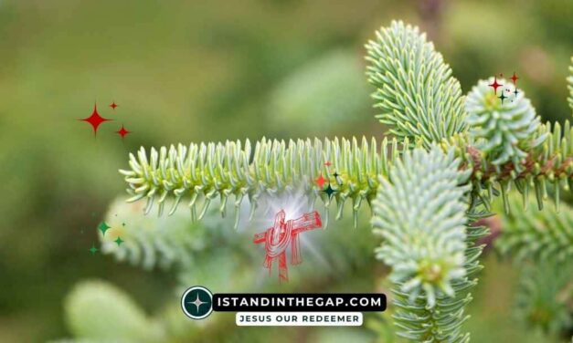 A Man of Noble Character: A Daily Devotional (Ruth 3:11)