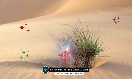 A Shrub in the Desert: A Daily Devotional (Jeremiah 17:6)
