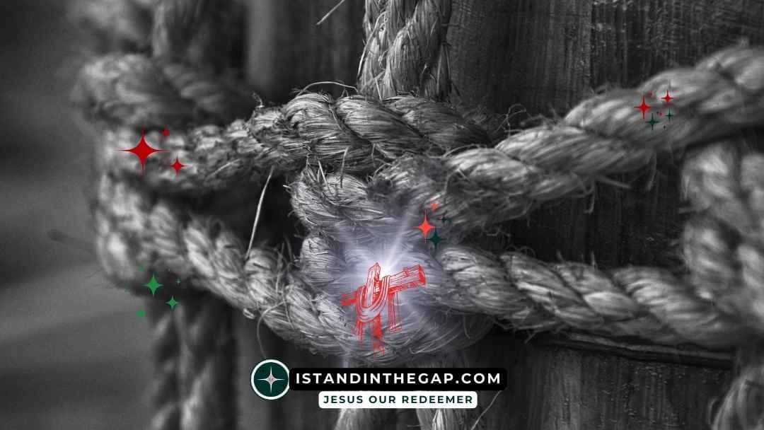 A Threefold Cord: A Daily Devotional (Ecclesiastes 4:12)