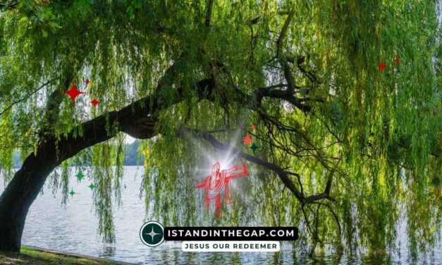 A Tree by Water: A Daily Devotional (Jeremiah 17:8)