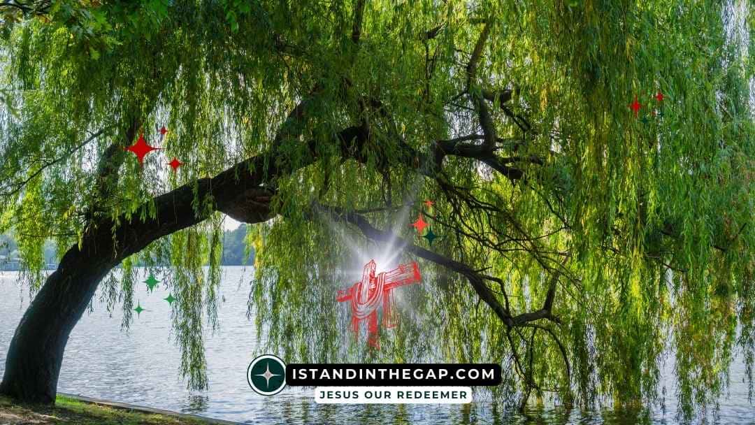 A Tree by Water: A Daily Devotional (Jeremiah 17:8)