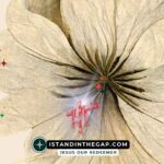 Demons Seek Permission: A Daily Devotional (Matthew 8:31)