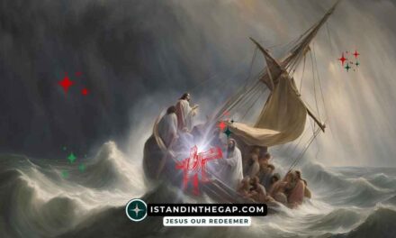 What Manner of Man is He?: A Daily Devotional (Matthew 8:27)