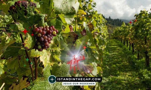 I Am the Vine: A Daily Devotional (John 15:1)