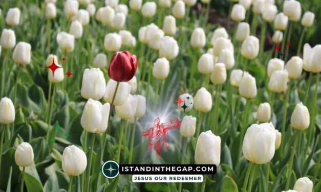 You Are Fearfully Made: A Daily Devotional (Psalm 139:14)