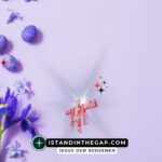 Be Content Always: A Daily Devotional (Philippians 4:11)