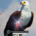 Be Watchful: A Daily Devotional (1 Peter 5:8)