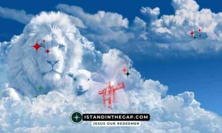 Behold the Lamb of God: A Daily Devotional (John 1:29)